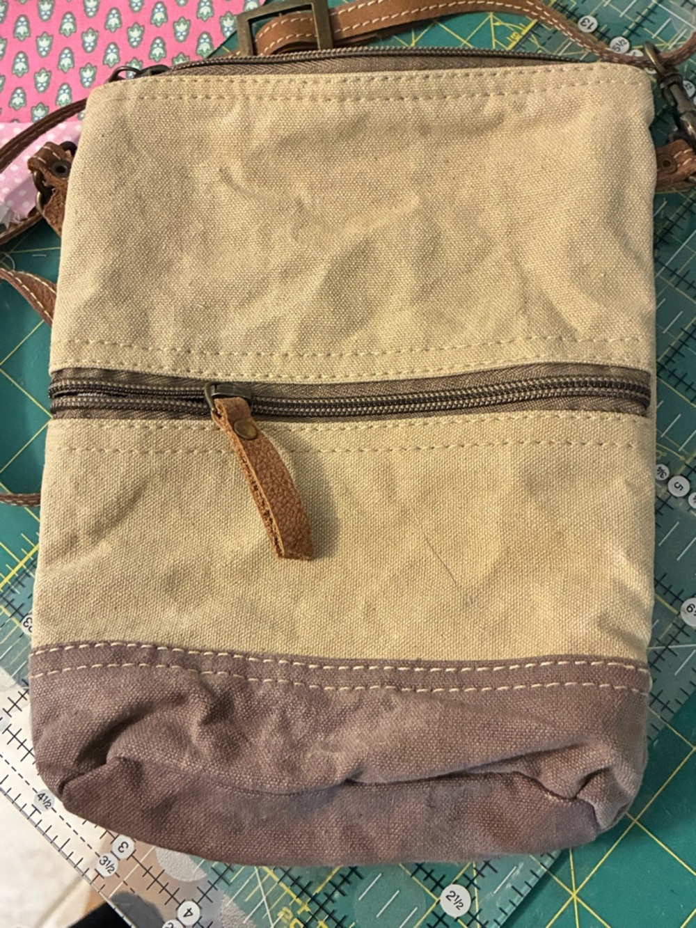 Clea Ray Aida Vintage-Inspired Tan Crossbody Bag View 4